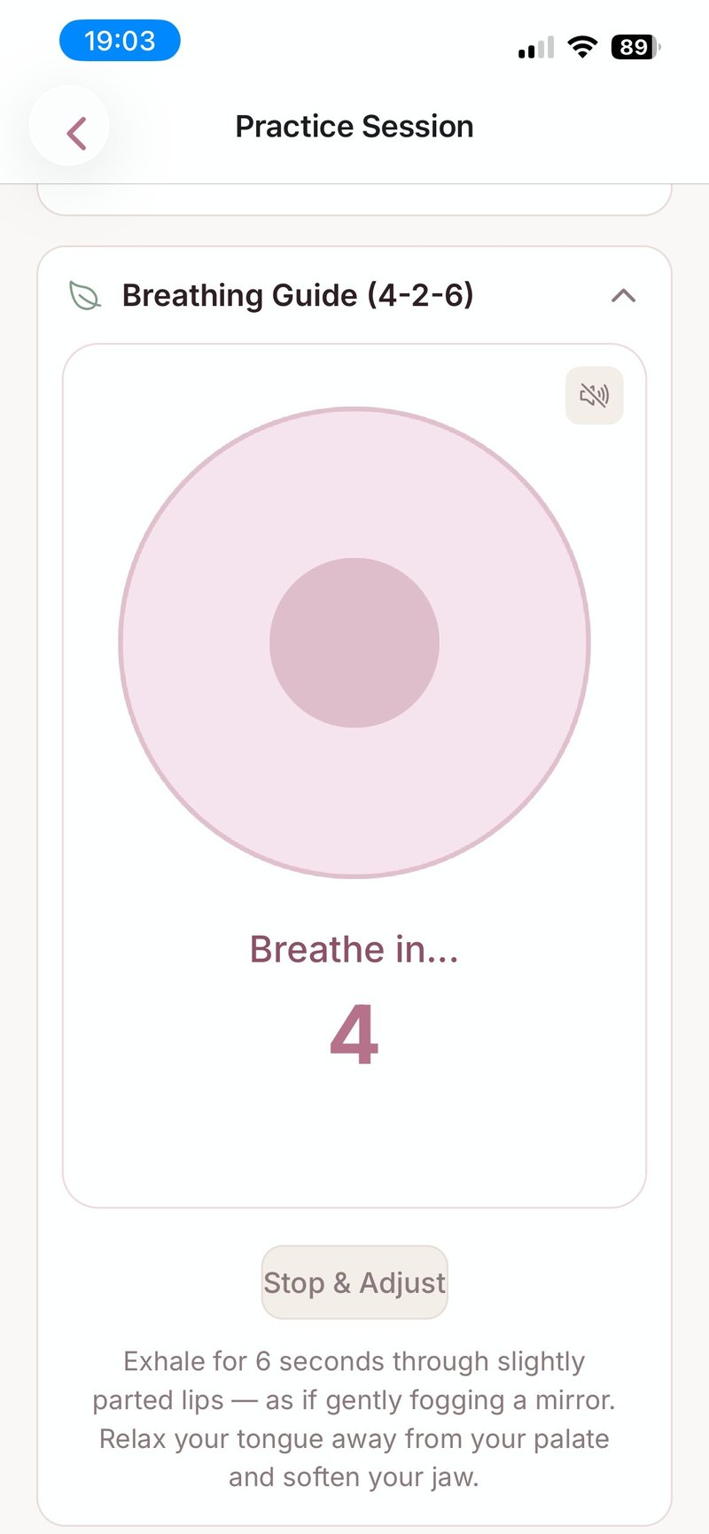 TVZ 4-2-6 guided breathing animation
